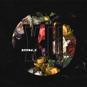 网页优惠券小鲤导航
