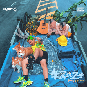 网页优惠券小鲤导航
