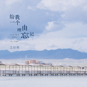 网页优惠券小鲤导航
