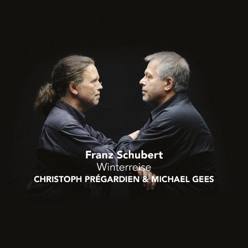 网页优惠券小鲤导航
